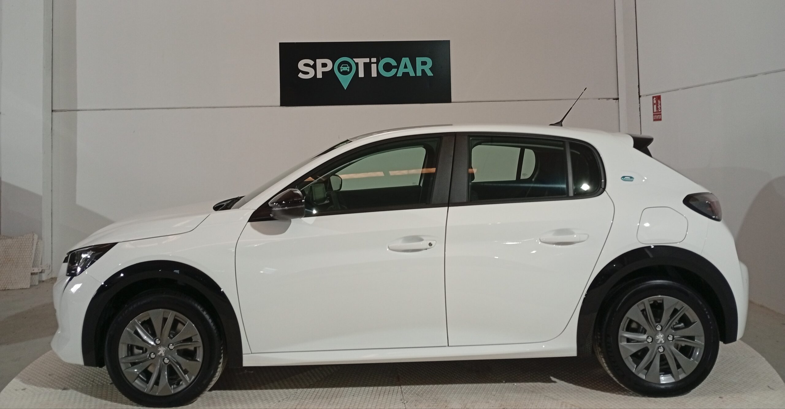 53596-IMG_20250403_101225