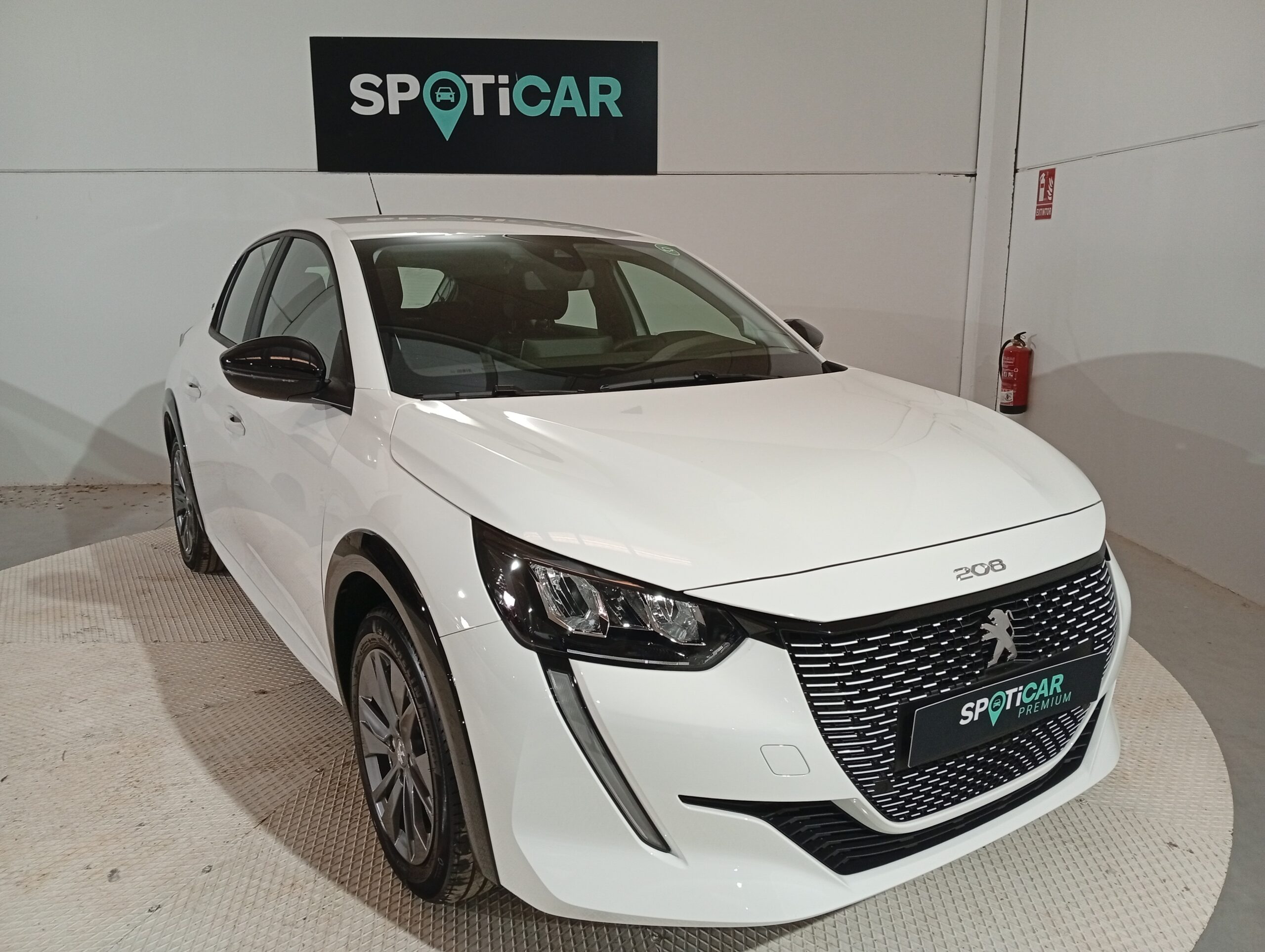 53596-IMG_20250403_101432