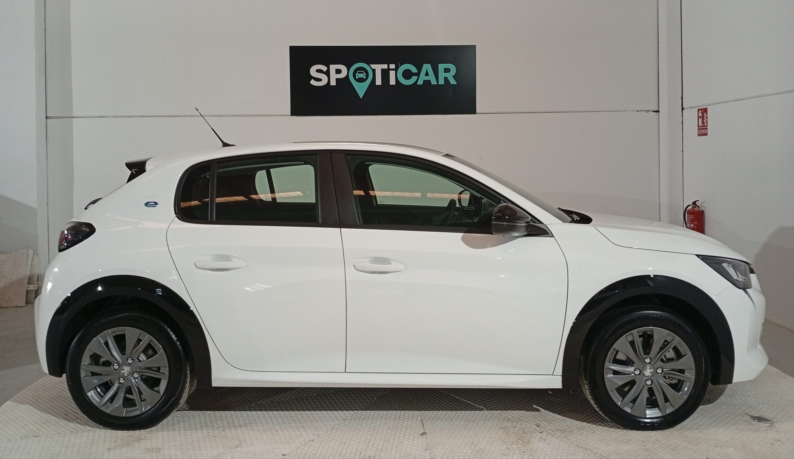 53596-IMG_20250403_101529